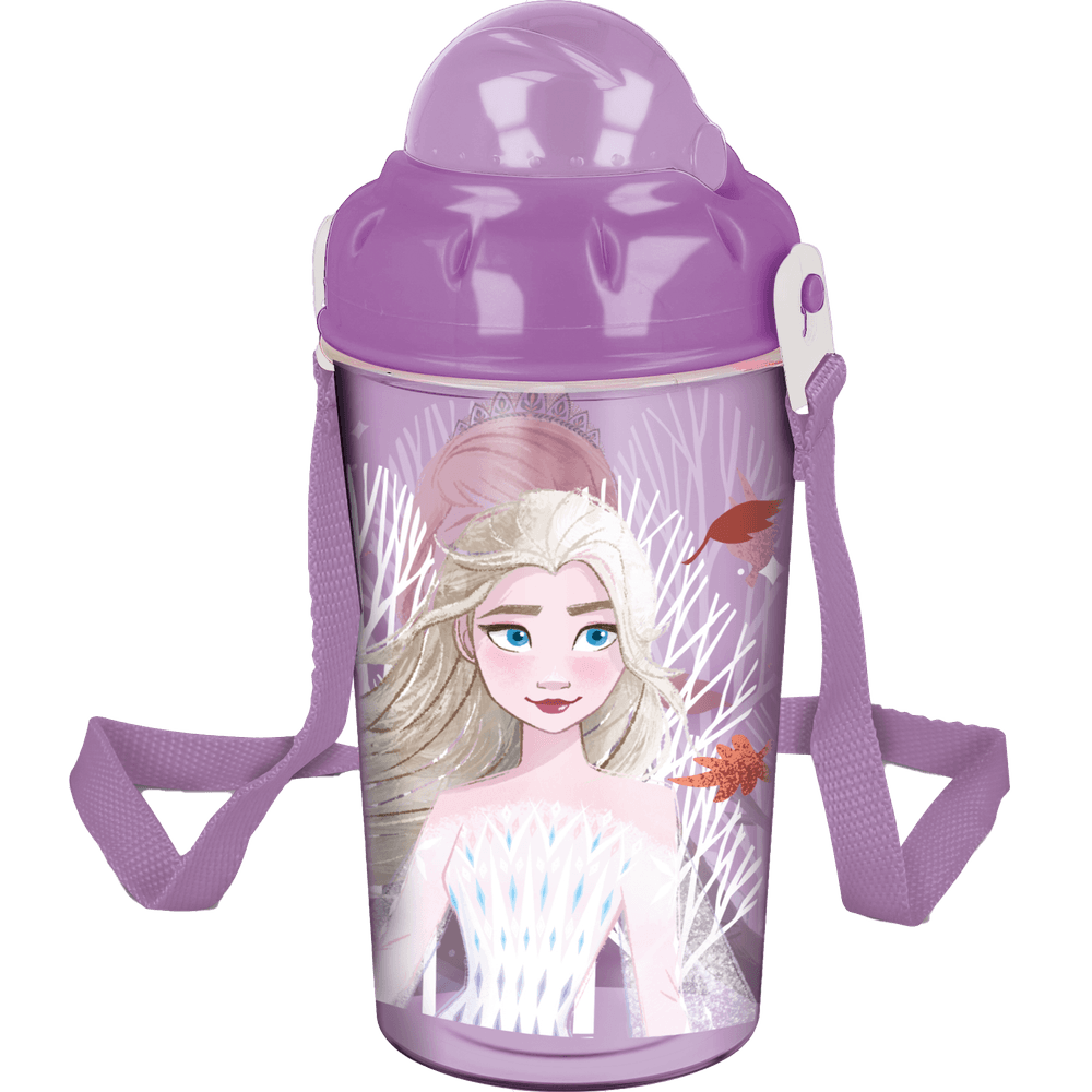 Cantimplora 450ml Single Wall Frozen